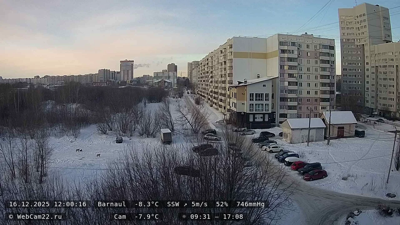 Кадр с камеры 16 декабря 2025 года