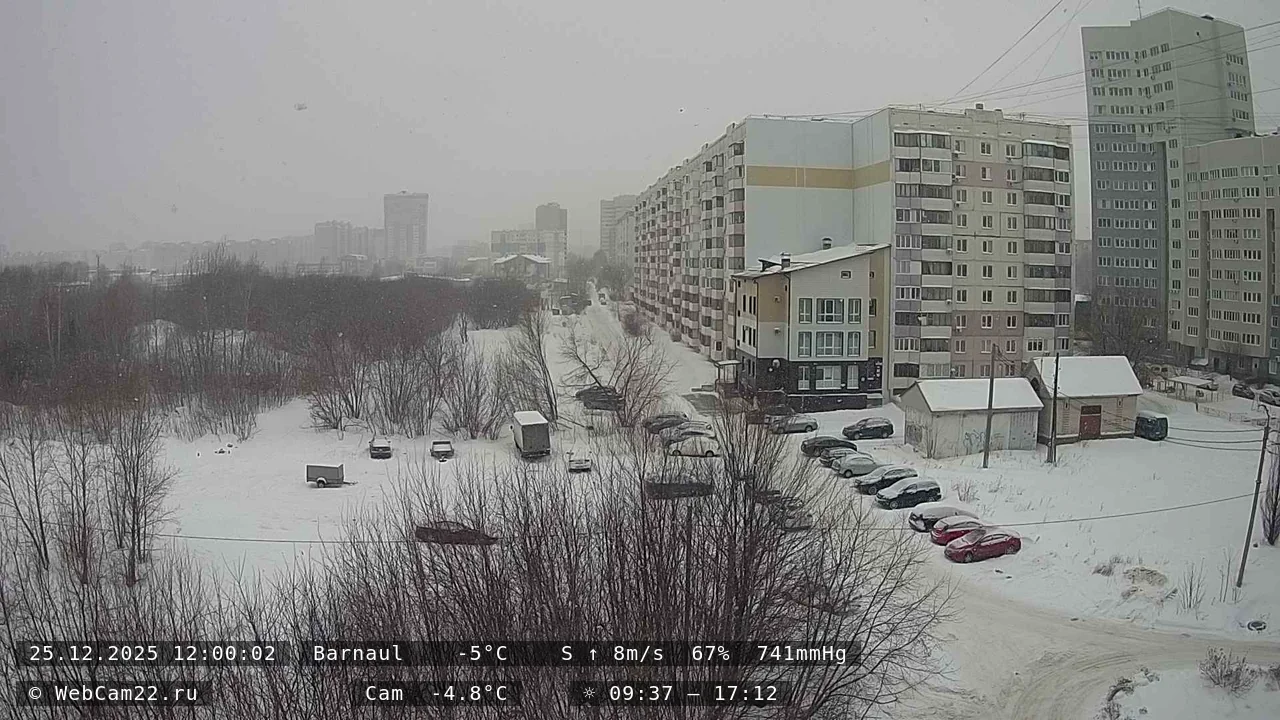 Кадр с камеры 25 декабря 2025 года