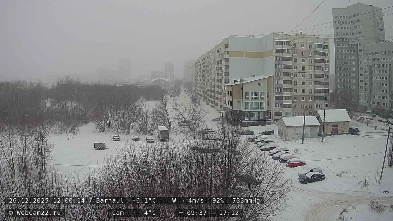 Кадр с камеры 26 декабря 2025 года