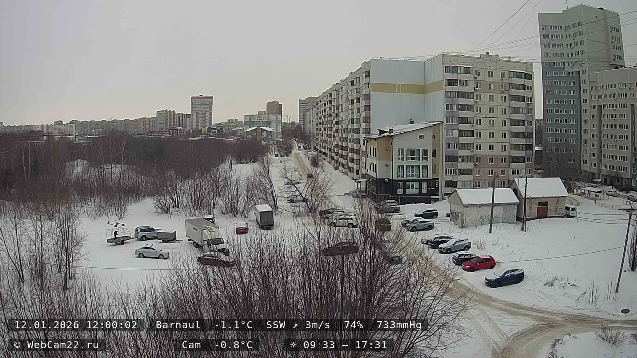 Кадр с камеры 12 января 2026 года