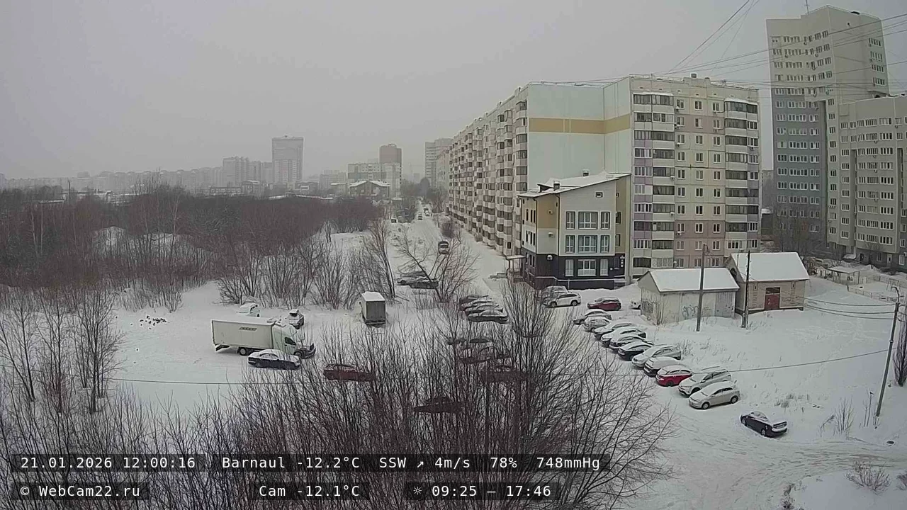 Кадр с камеры 21 января 2026 года