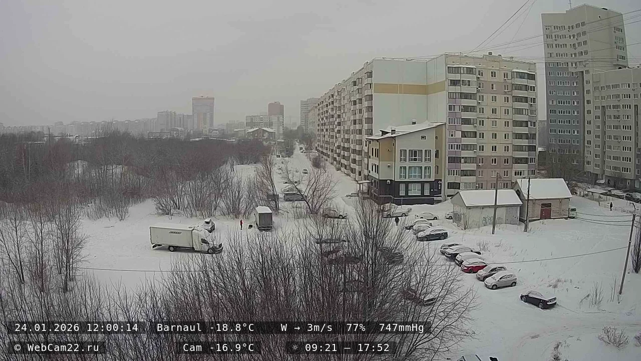 Кадр с камеры 24 января 2026 года