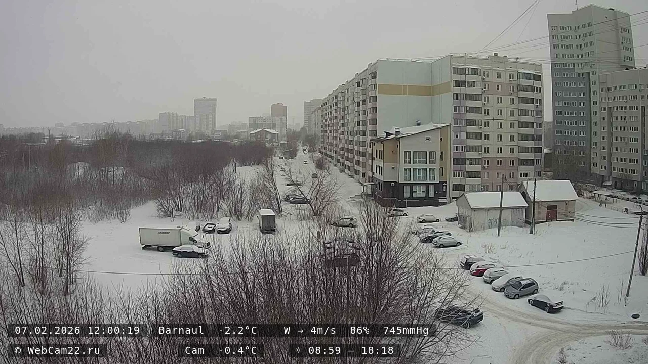 Кадр с камеры 7 февраля 2026 года