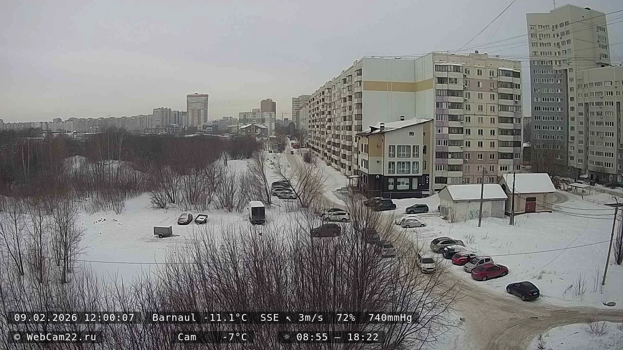 Кадр с камеры 9 февраля 2026 года