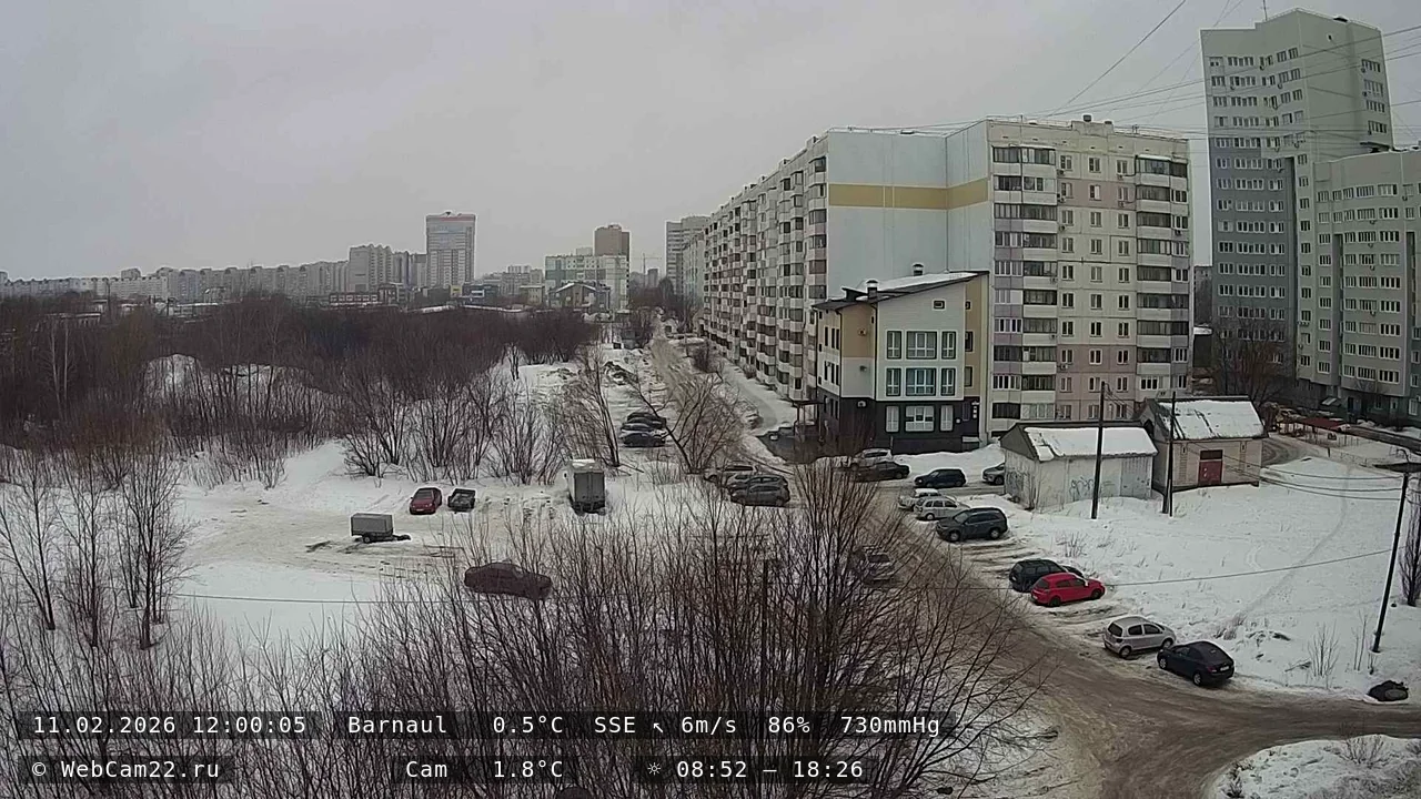 Кадр с камеры 11 февраля 2026 года