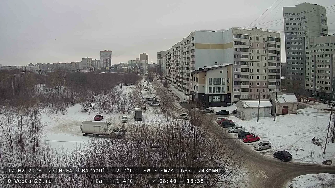 Кадр с камеры 17 февраля 2026 года
