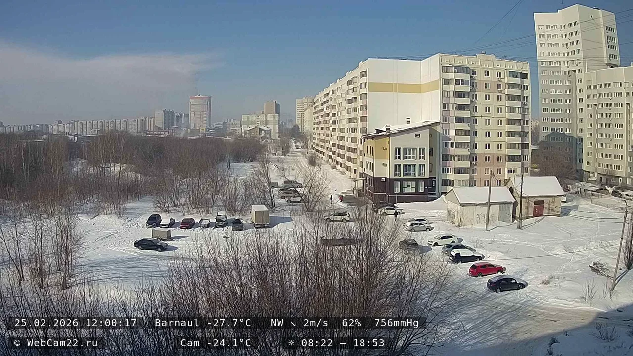 Кадр с камеры 25 февраля 2026 года