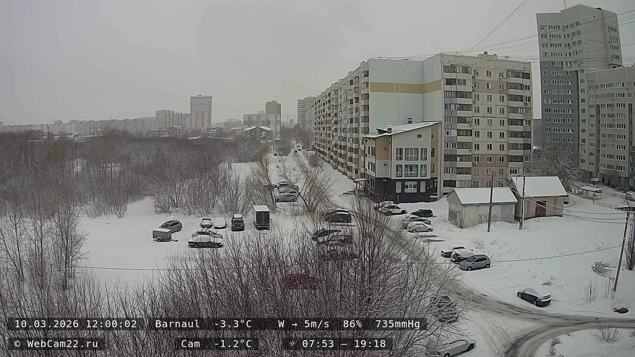 Кадр с камеры 10 марта 2026 года