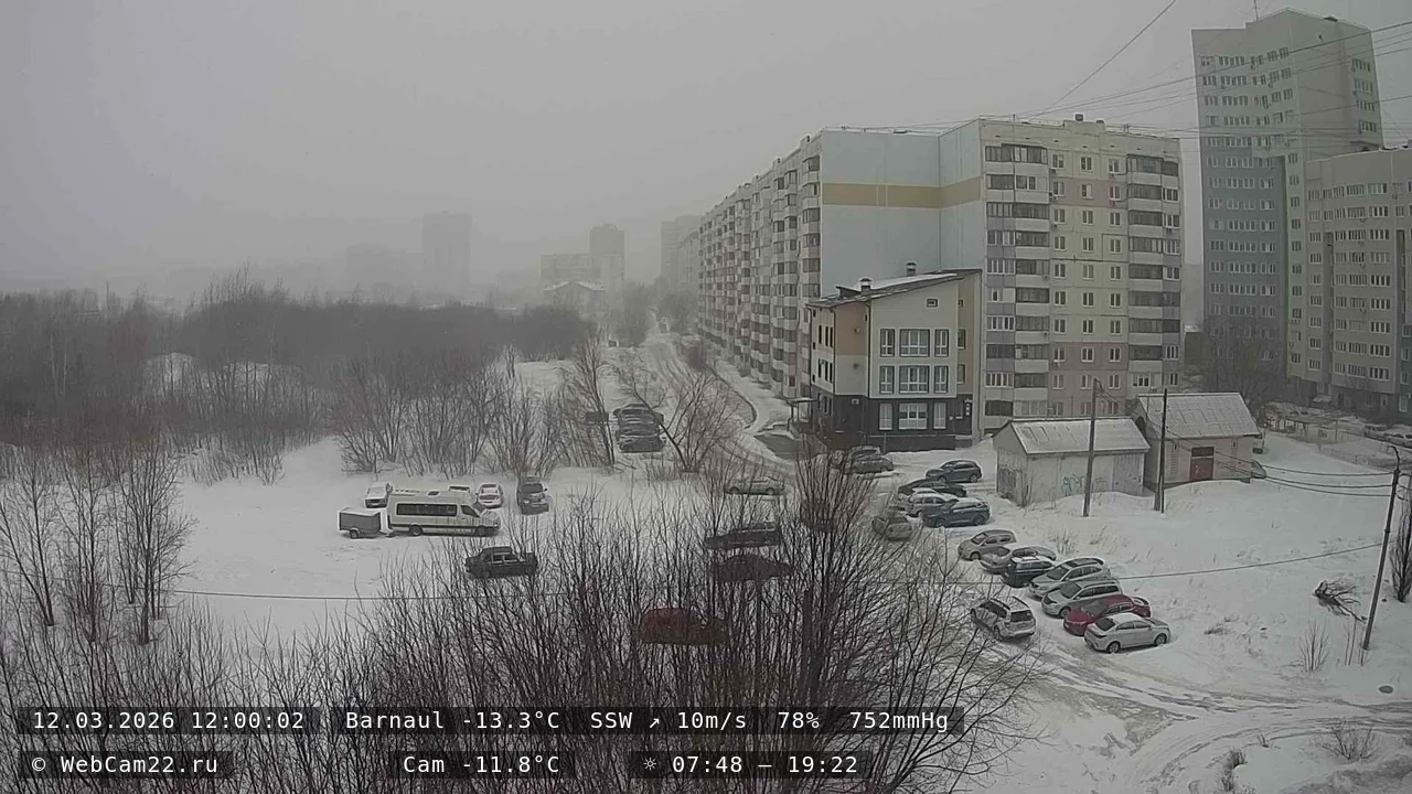 Кадр с камеры 12 марта 2026 года