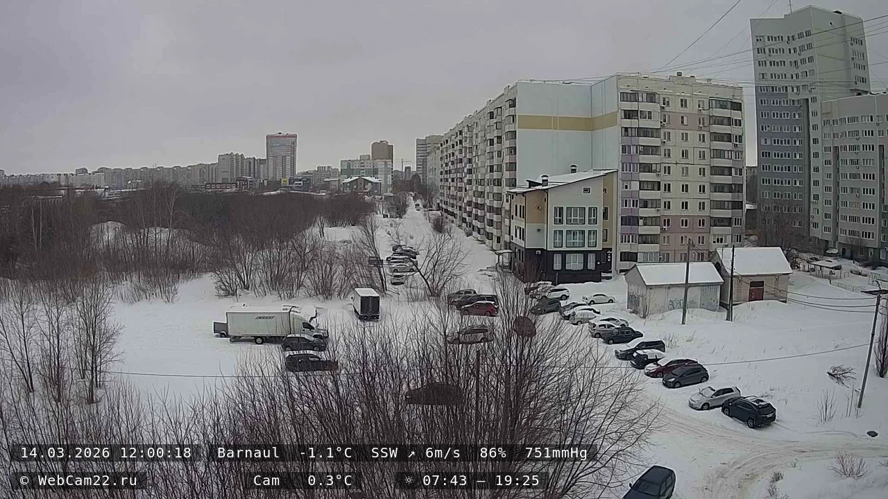Кадр с камеры 14 марта 2026 года