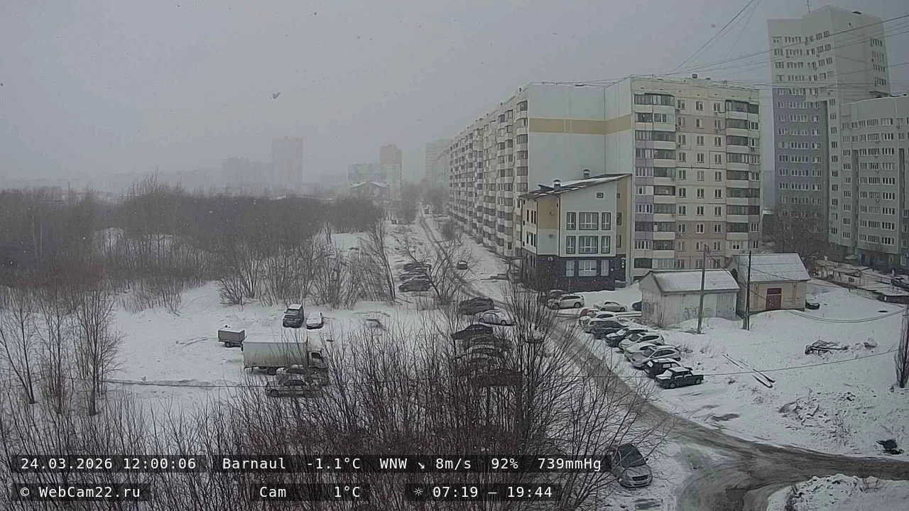 Кадр с камеры 24 марта 2026 года