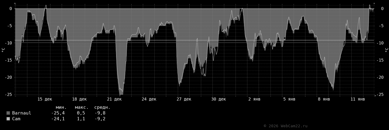 Температура за месяц Январь 2026 года